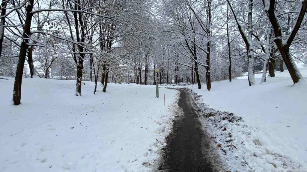 plowed walking path in the snow